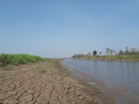 Órgão alerta para seca mais severa em 2024 em Rondônia - Foto: Reprodução