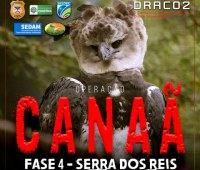 SERRA DOS REIS: Draco realiza quarta fase da Operação Canaã contra invasores de terra - Foto: PC-RO/Reprodução