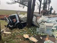 Acidente com caminhão de pintinhos deixa um ferido em Francisco Alves - VÍDEO - Foto: Divulgação BPRv