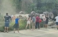 Homem morre em colisão entre carro e carreta na BR -VÍDEO - Foto: Reprodução