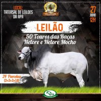 Leilão da Expoari mostrará qualidade do rebanho de Rondônia - Foto: Divulgação