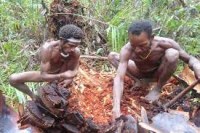 Tribo canibal come ladrões como forma de punição; eles devoram tudo, exceto cabelo, unhas e pênis - Foto: Crédito: Reprodução/YouTube