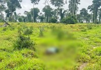 Em Rondônia, polícia prende suspeito de matar colega de trabalho e jogar corpo no pasto para urubus - Foto: Reprodução
