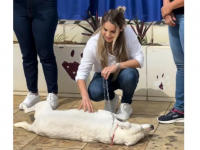 Prefeita Carla Redano inaugura centro de adoção de pets em Ariquemes - Foto: Assessoria