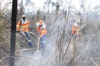 “Operação Verde Rondônia” combateu mais de mil focos de incêndios no Estado - Foto: Reprodução