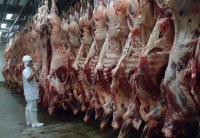 China retoma procedimentos de importação de carne brasileira nesta segunda-feira - Foto: Reprodução