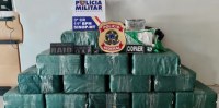Polícia apreende avião carregado com 462 kg de drogas no aeroporto, piloto preso - Foto: Reprodução