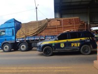 Em Ariquemes, PRF realiza apreensão de 58,57 m³ de madeiras - Foto: PRF/RO