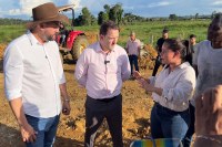 Alex Redano acompanha silagem de Milho em Machadinho e reforça compromisso com o setor agropecuário - Foto: Assessoria