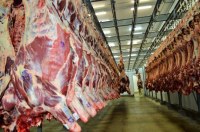 Reabertura da importação de carne por Hong Kong traz otimismo à cadeia produtiva de Rondônia - Foto: Reprodução
