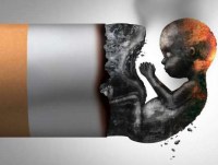 Vovós que fumaram durante sua Gravidez podem ser Responsáveis pelo Autismo de seus Netos - Foto: Reprodução
