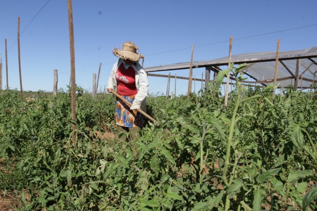 Com treinamento, produtores rurais de localidades onde não tem agência de renda da Sefin poderão ter acesso a informa (Foto: Reprodução)