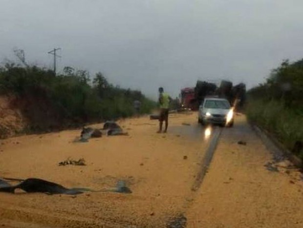 Uma das carretas realizava ultrapassagem (Foto: Reprodução)