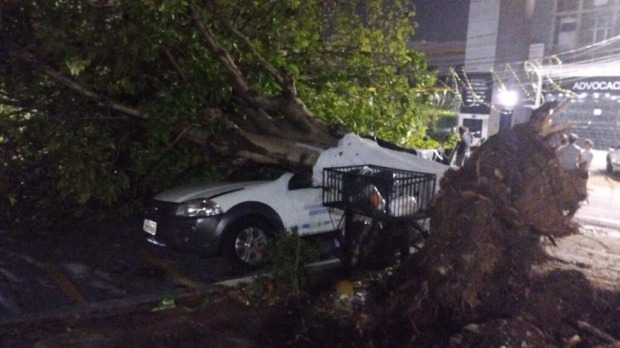 Temporal com chuva causa destruição em Ji-Paraná