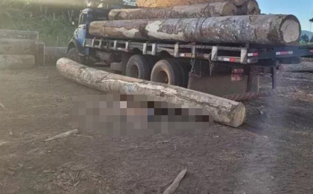 O corpo estava próximo de uma tora caída de cima do caminhão carregado (Foto: Reprodução Rondoniavip)