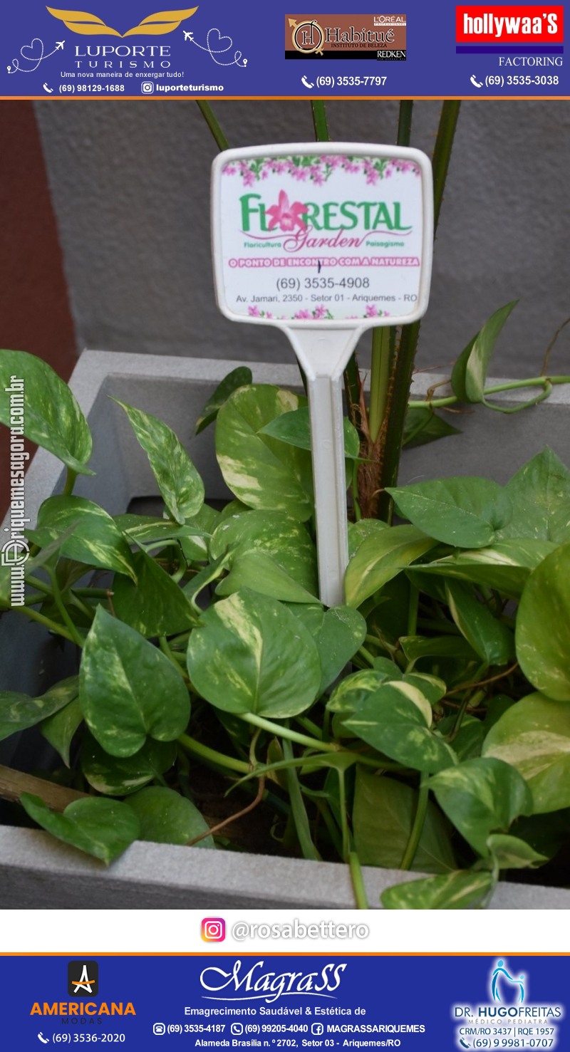 Lançamento de apartamento decorado do EDIFÍCIO MASSERATA em Ariquemes Rondônia