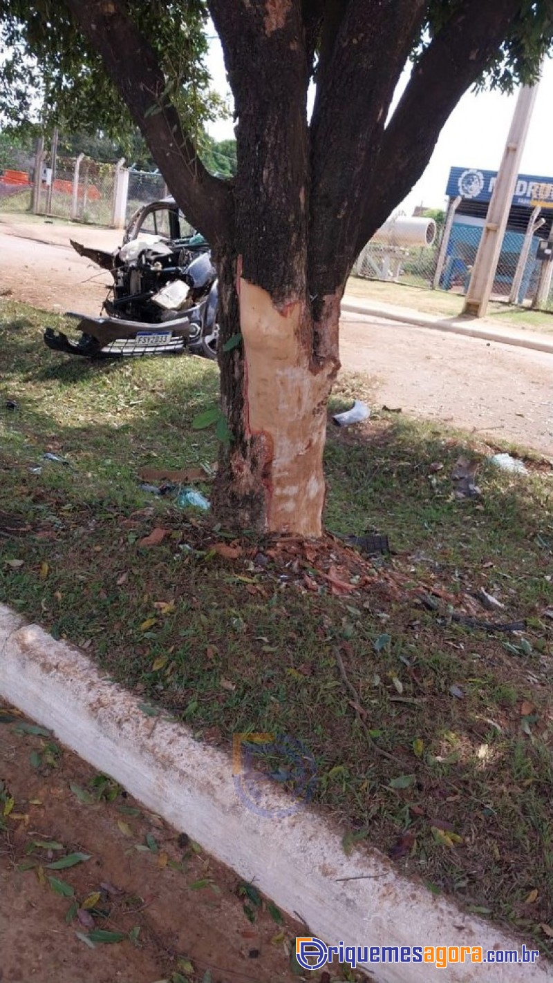 Ariquemes: Motorista morre após colidir caminhonete em árvore - VIDEO