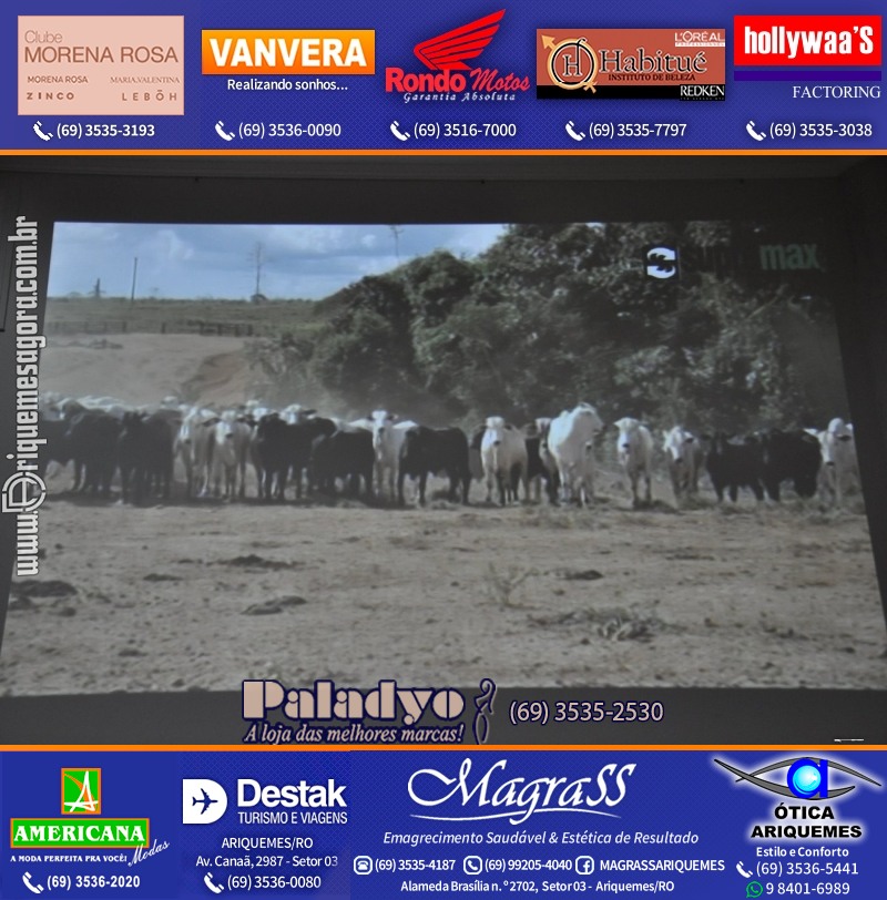 Foto da galerias