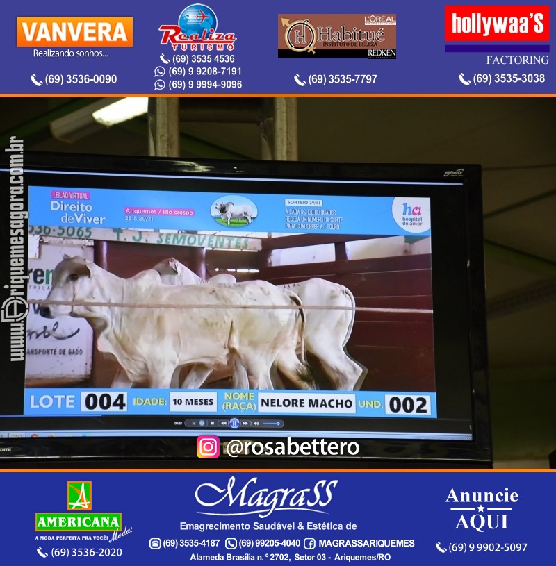 Foto da galerias