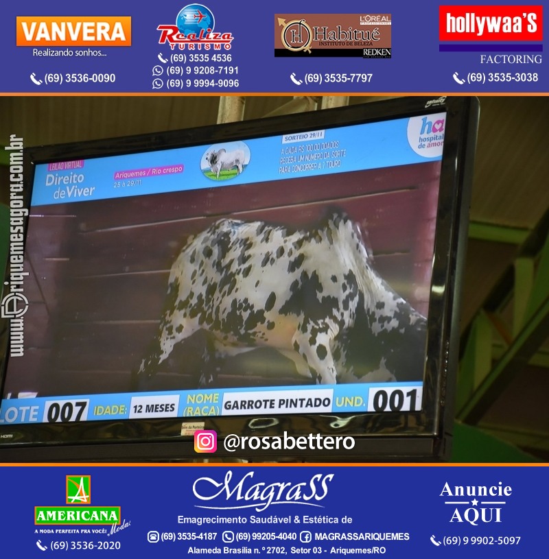 Foto da galerias