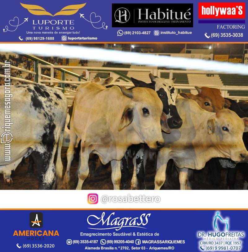 Foto da galerias