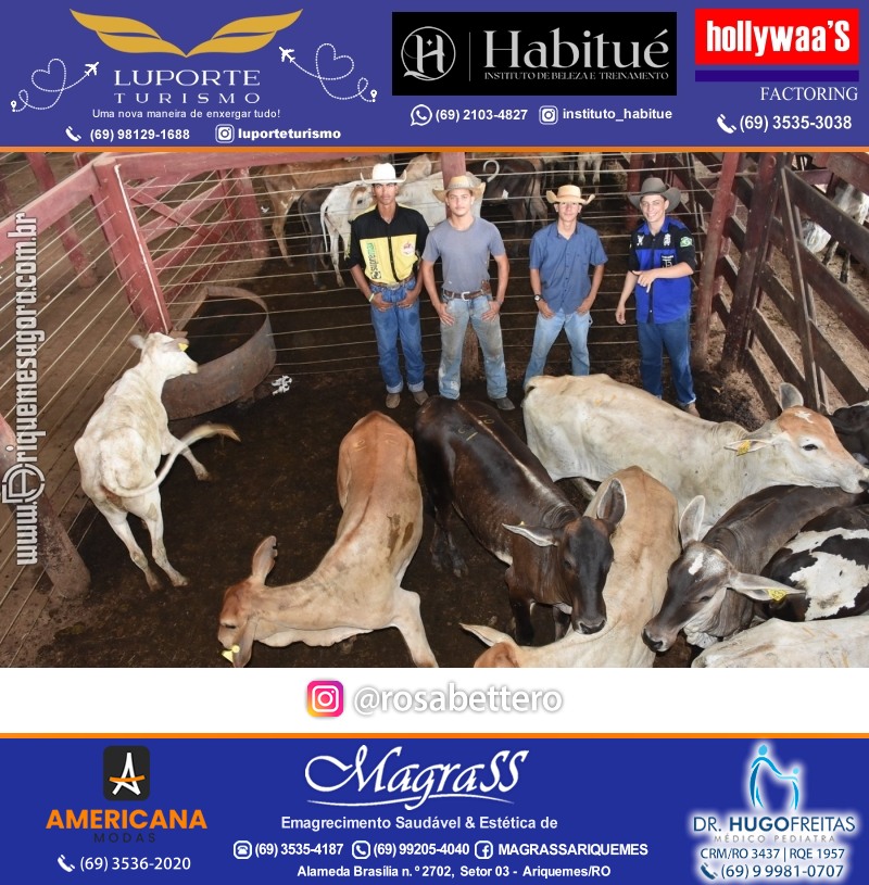 Foto da galerias