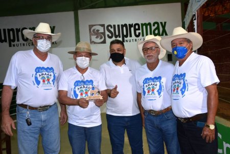 8º LEILÃO VIRTUAL AZUL da AMAAR Associação de Mães de Autistas de Ariquemes na APA