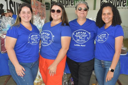 10º Leilão Azul em Prol da AMAAR Ariquemes Rondônia